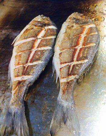 Romai Sea Fish Bistro
