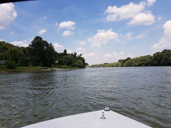 Lupa Island, Boedapest
