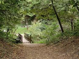 Rozsika spring, Boedapest