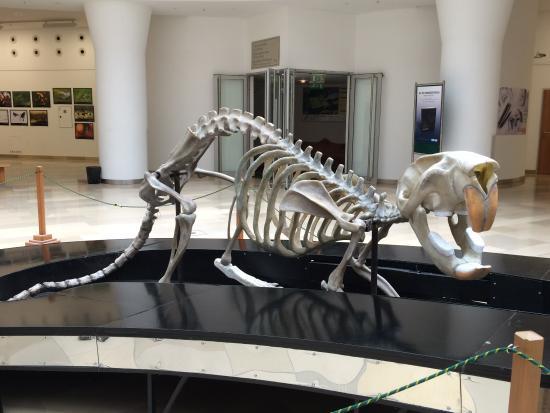 Hongaars Natuurhistorisch Museum, Boedapest
